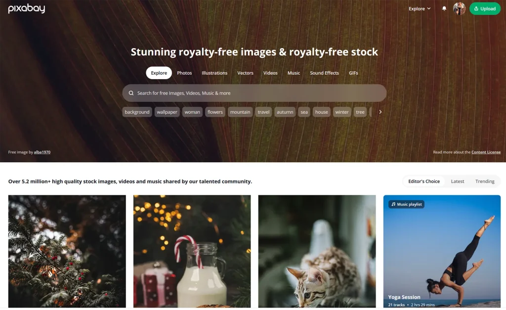 pixabay-stok-imaj-sitesi